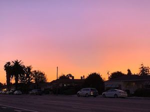 Meet your Posher, Jackosn